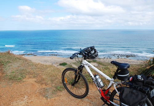 mrcow138's profile picture. 