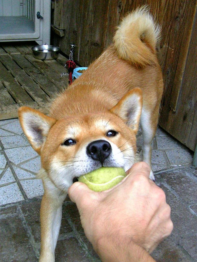 takumi(๑•̀ㅂ•́)و✧@だっち