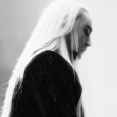 “Out there in the vast ignorance of the world it festers and spreads—a shadow that grows in the dark.” | [ #ElvenKing | #MV | #MF | #Bi ] |