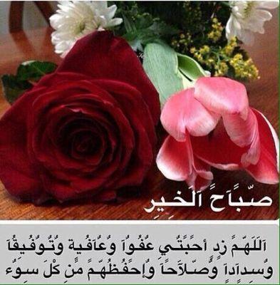 ASDFGH11816388's profile picture. 