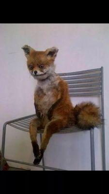 deadpan_happy's profile picture. Not amish nor was. I crochet to keep myself from killing. Unless you touch my pyrex, I will kill you.