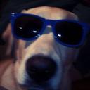 Daniel Michel - @DanielM67678 - Twitter