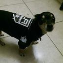 TIM GUZMAN - @onlynr02si - Twitter