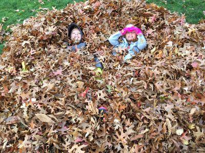 pamwiley516's profile picture. 