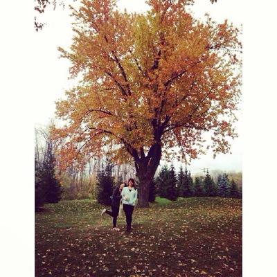 LiyanYana's profile picture. amir's