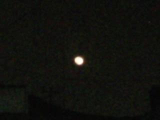 egi_nurhalis20's profile picture. .