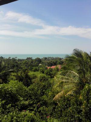 aovechki's profile picture. 