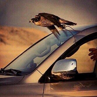 العشق للعشاق..