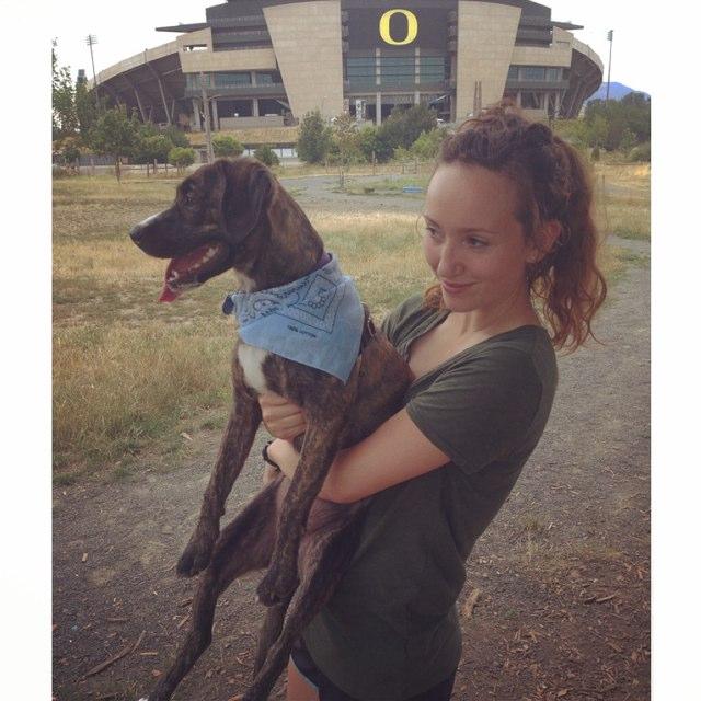 makensyvenneri's profile picture. i like jazz music and organic elavation
university of oregon