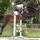 Sally Ivory Wright - @Tallybooboo - Twitter