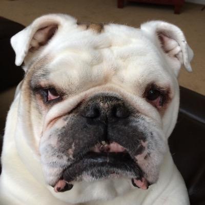 FITTY84's profile picture. 