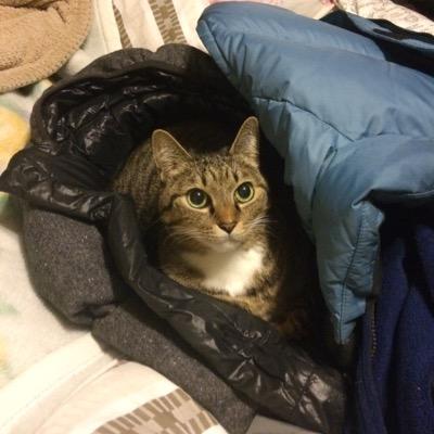 主にメモ、記録としてぴよぴよつぶやいております。独語で振り返りが出来るって便利なので鳥帰ってきて。
とにかく捨てなきゃ。身も心も軽くしなければ。動け。そして寝ろ。
幸せ。それはすべてなのでどう動いたらいいの。身体の柔軟性と筋力が大ピンチ。
好きな響きは今空席。