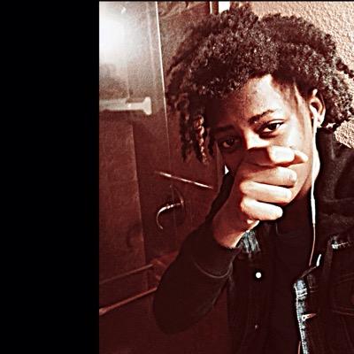 ¢яє тιgєя
i follow back