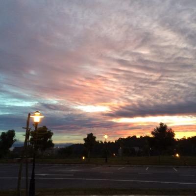 vetemet's profile picture. 