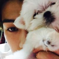 oteh (@exothn) 's Twitter Profile