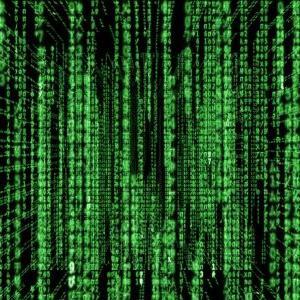 Programmer4L's profile picture. 