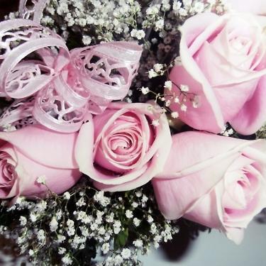 AngelFaithLouis's profile picture. Be happy while you’re living, for you’re a long time dead - Scottish Proverb