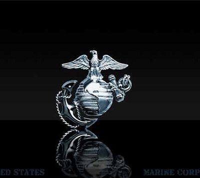 Marine, Michigan fan, aircraft technician and father