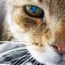 Piter Parker (@dimasik229) Twitter profile photo