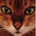 Lynn Grossman (@lynn_grossman) Twitter profile photo Lynn Grossman (@lynn_grossman) Twitter profile photo