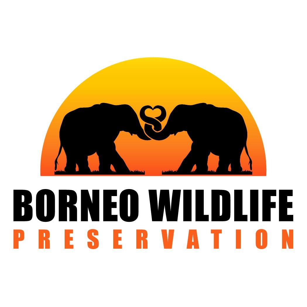 BorneoWP's profile picture. 501(c)(3) non-profit organization helping to protect endangered species of Borneo and promoting conservation efforts.