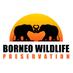 Borneo Wildlife Preservation (@borneowp) Twitter profile photo