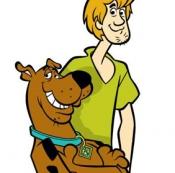 shaggy__fans's profile picture. shaggy, Orville Richard Burrell, best known by his stage name Shaggy, is a Jamaican-born American reggae fusion singer and deejay. He is best known for his hit