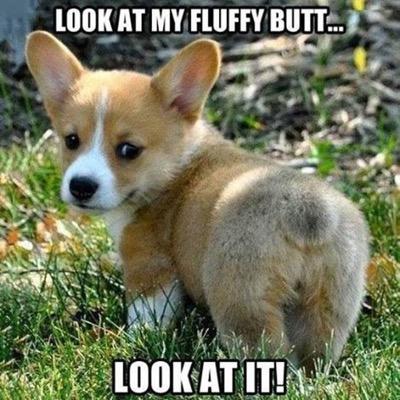 PIEmanGAMEING's profile picture. a youtuber and a fan of jackseptickeye if u are a youtuber ill follow u if u want