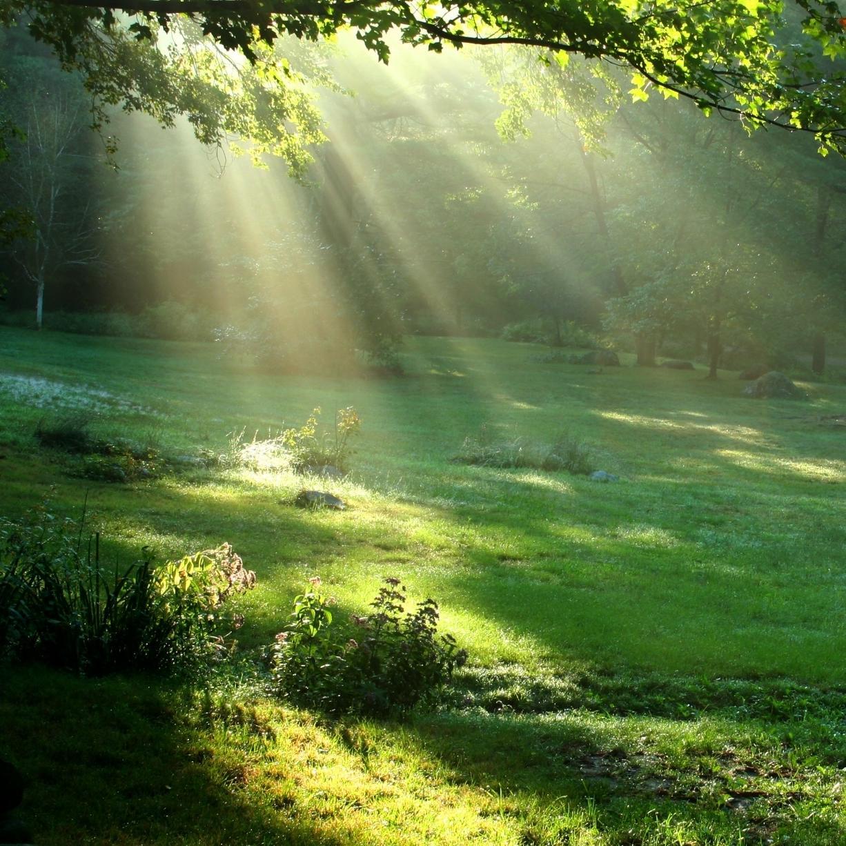 abusalmaan545's profile picture. 