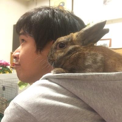 3rdダッドリー鉄拳ジョシー