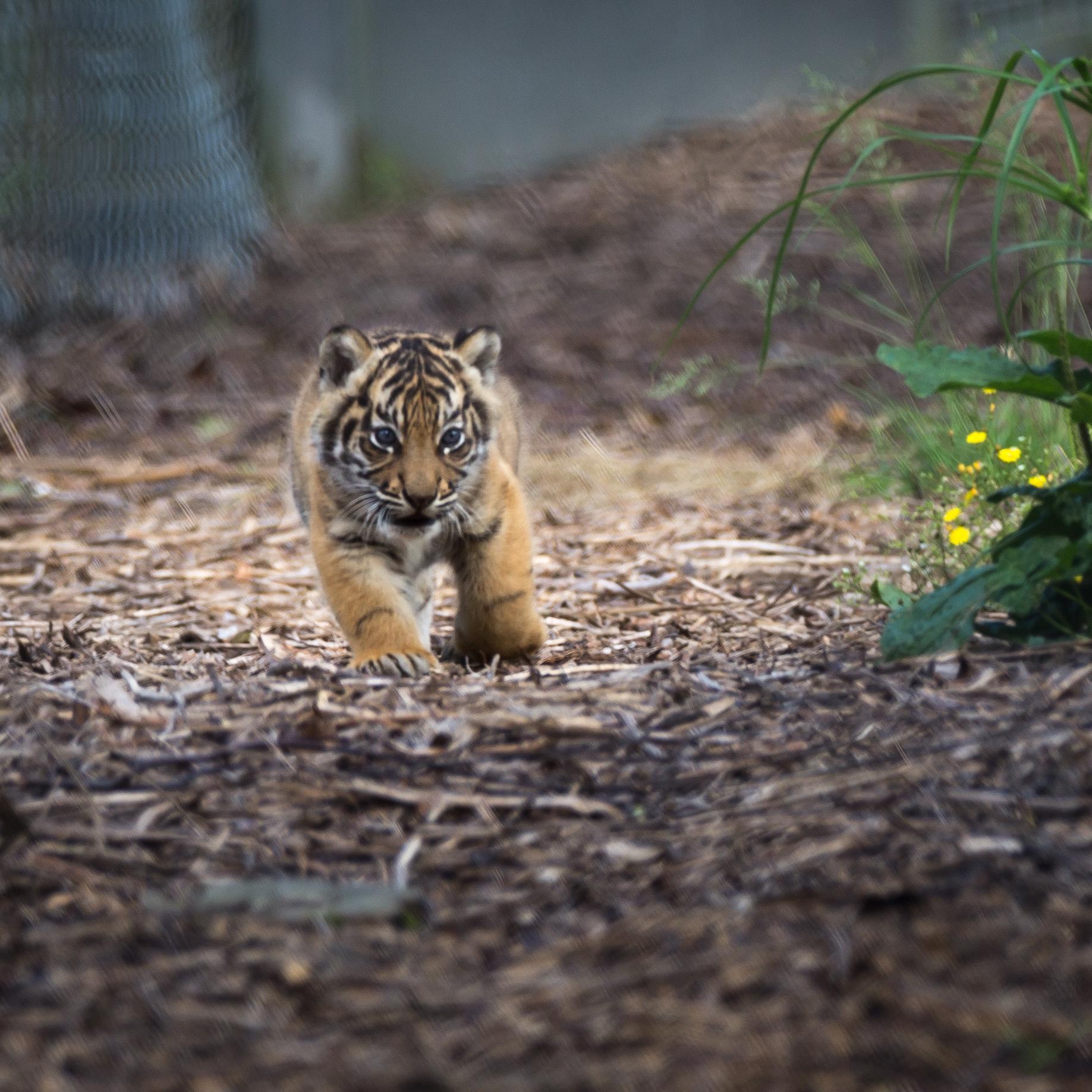 ShelleyEdhouse's profile picture. 