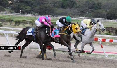 Equipo de Pronosticadores y Analistas en Deportes