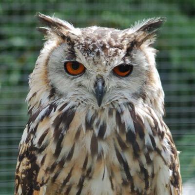 DieAndRetry's profile picture. Just another nothing..