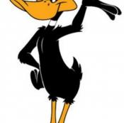 daffysuck, Daffy Duck is an animated cartoon character produced by Warner Bros. Styled as an anthropomorphic black duck, the character has appeared in cartoon.