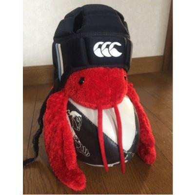 nmmt1994's profile picture. 赤松です