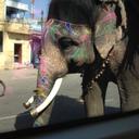 Sharon Gorman - @spg120248 - Twitter