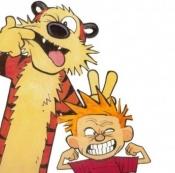calvinhobes_fan's profile picture. calvinhobbes, Calvin and Hobbes is a daily comic strip by American cartoonist Bill Watterson that was syndicated from November 18, 1985 to December 31, 1995.