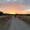 nigel owen - @yogibear300 - Twitter