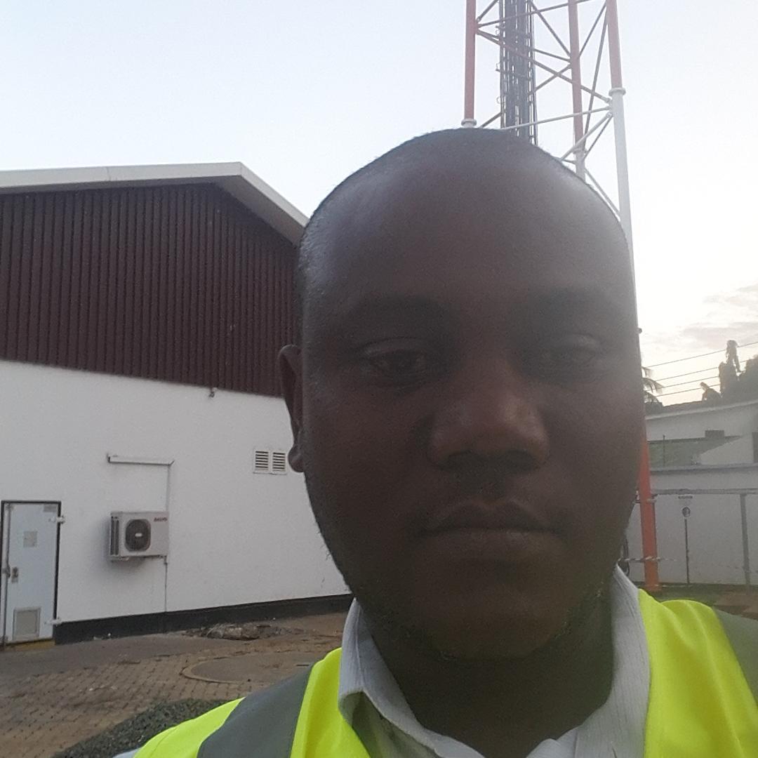 Engineer, Project Manager, Online Marketer, Patriot, Family Man, Friend, Humble, Trustworthy, Believes in God. (255) 754710172