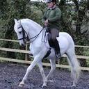 ellie may edwards - @elliemay031 - Twitter