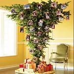 strannic555's profile picture. 