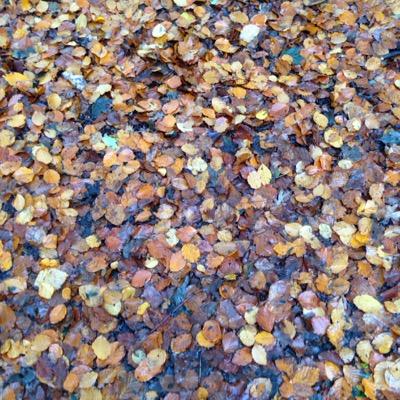 richyjwalter's profile picture. 