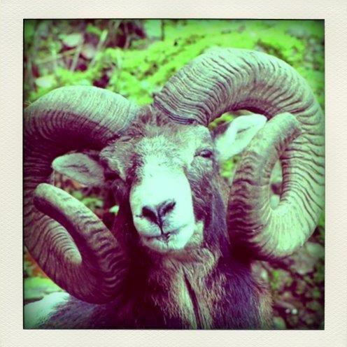 ivancharas's profile picture. Filmmaker, News Producer