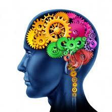 Awesome Facts About the Mind.