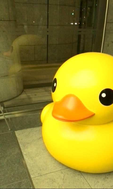 みっちゃんみちみち Michicompass Twitter みっちゃんみちみち Michicompass Twitter