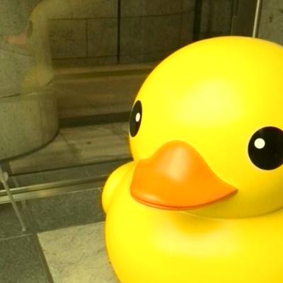 みっちゃん♪さん専用 みっちゃん♪さん専用 みっちゃん (@mi.zx4r.ch) • Instagram photos