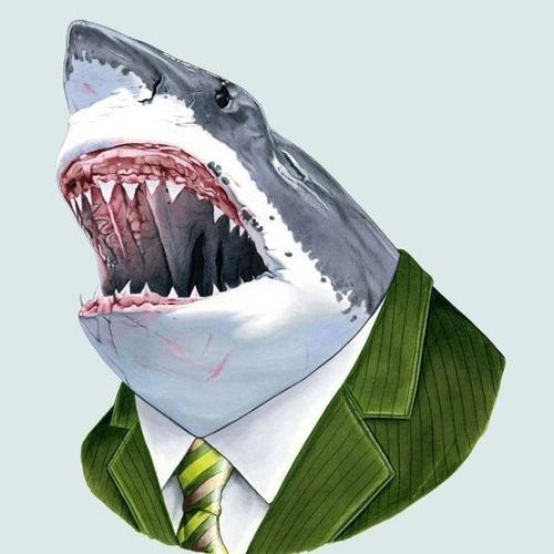 Contact me: devshark@mail.com
