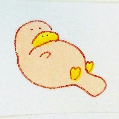 よっしーさんのプロフィール画像