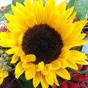 Sandra Baur - @sandrabaur1987 - Twitter