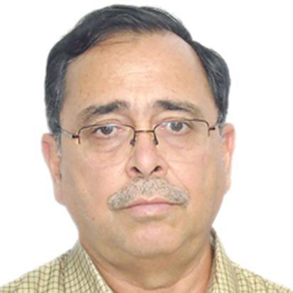 Bureaucrat( retired) / Cricket buff